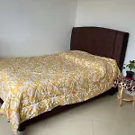 Casita De Plantas