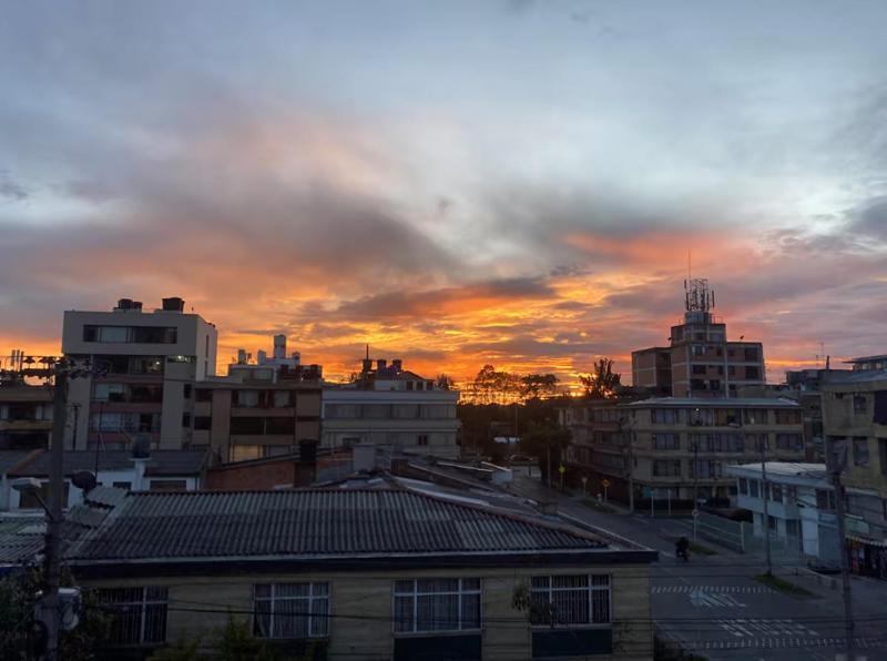 Casita De Plantas Bogotá